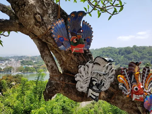 Photo from Sri Lanka