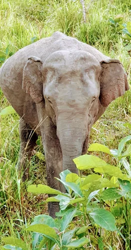Photo from Sri Lanka