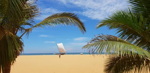 Photo from Sri Lanka