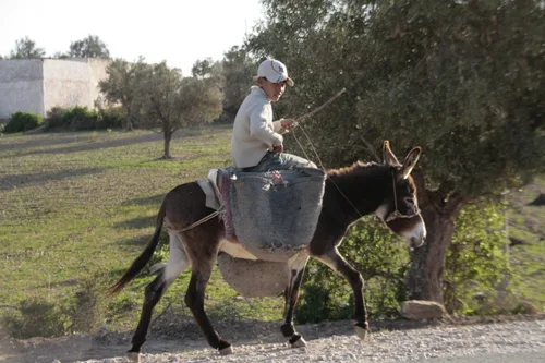 Photo from Morocco