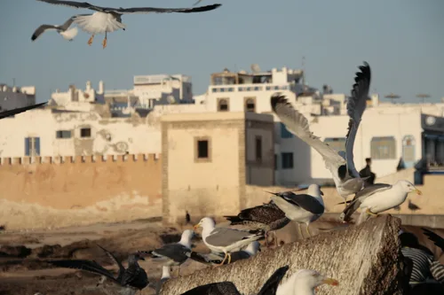Photo from Morocco