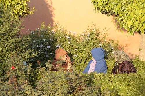 Photo from Morocco