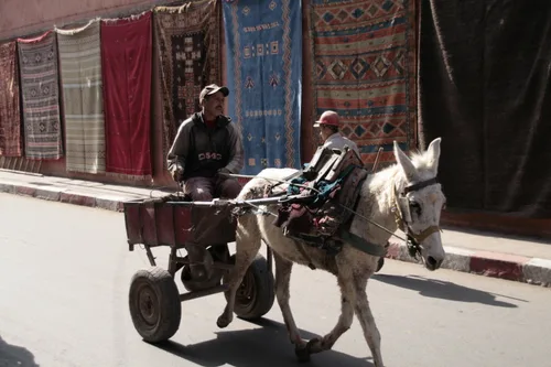 Photo from Morocco