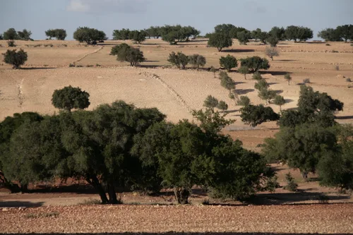 Photo from Morocco