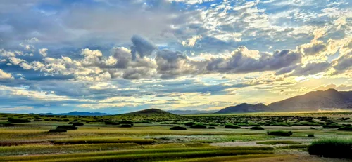 Photo from Mongolia