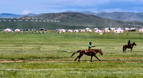 Photo from Mongolia