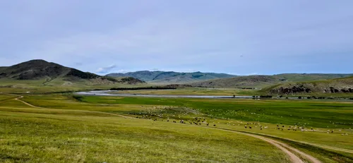 Photo from Mongolia