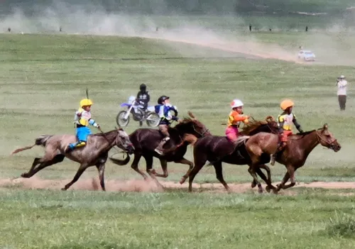 Photo from Mongolia
