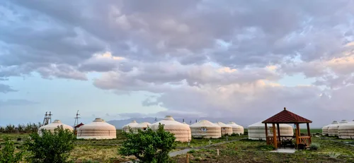 Photo from Mongolia