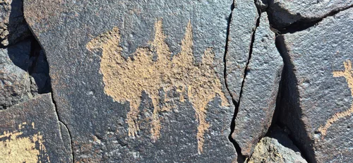 Photo from Mongolia