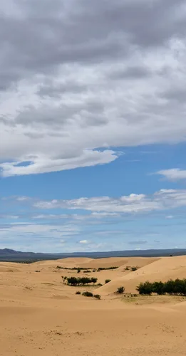 Photo from Mongolia