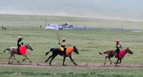 Photo from Mongolia