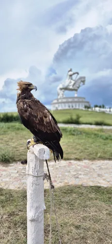 Photo from Mongolia