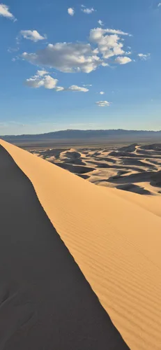 Photo from Mongolia