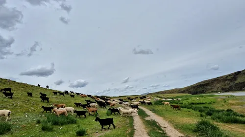 Photo from Mongolia