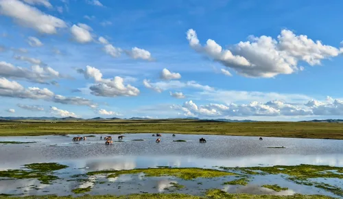 Photo from Mongolia