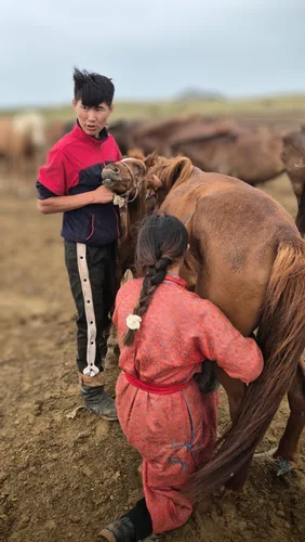 Photo from Mongolia