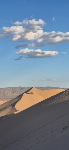 Photo from Mongolia