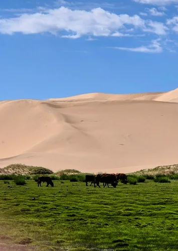Photo from Mongolia