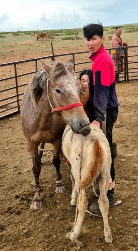 Photo from Mongolia
