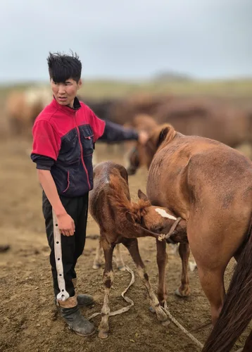 Photo from Mongolia