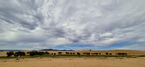 Photo from Mongolia