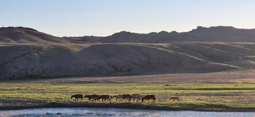 Photo from Mongolia