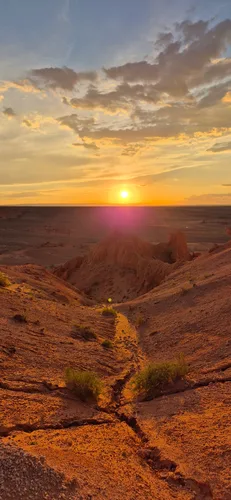 Photo from Mongolia