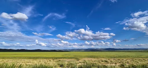 Photo from Mongolia