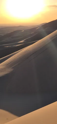 Photo from Mongolia