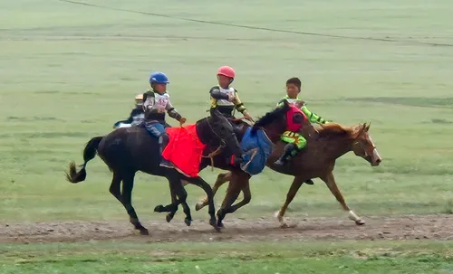 Photo from Mongolia