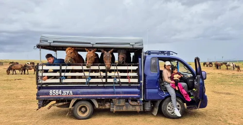 Photo from Mongolia