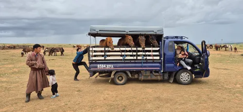 Photo from Mongolia