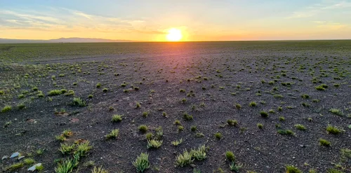 Photo from Mongolia