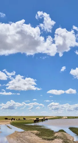 Photo from Mongolia