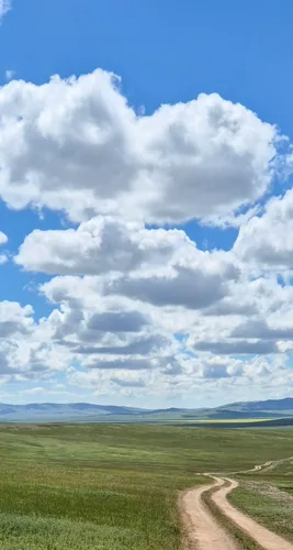 Photo from Mongolia