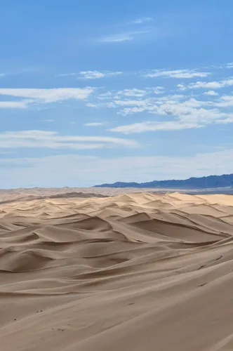 Photo from Mongolia