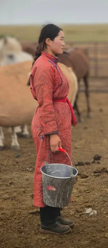 Photo from Mongolia