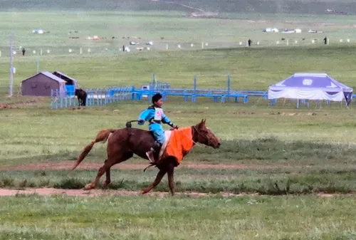 Photo from Mongolia