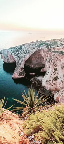 Photo from Malta