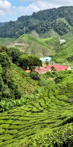 Photo from Malaysia