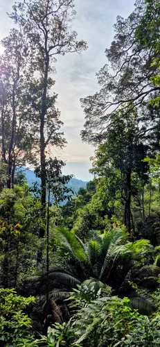 Photo from Malaysia