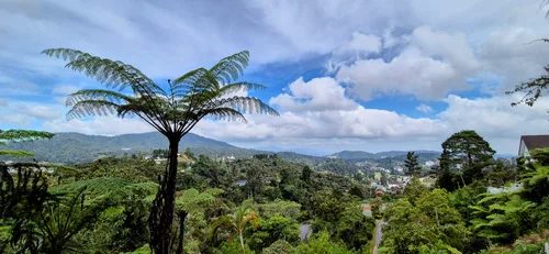 Photo from Malaysia