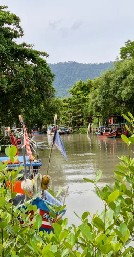 Photo from Malaysia