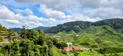 Photo from Malaysia