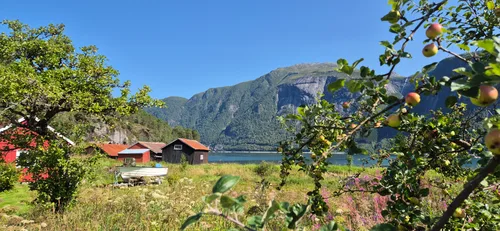 Photo from Norway