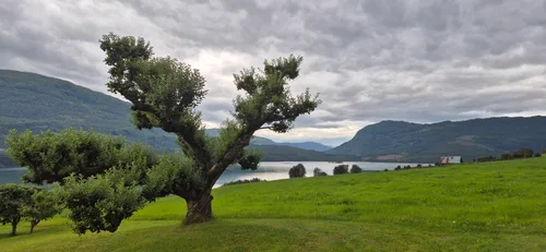 Photo from Norway
