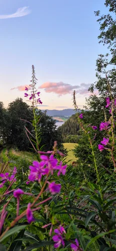 Photo from Norway