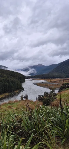 Photo from New Zealand