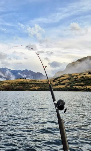 Photo from New Zealand